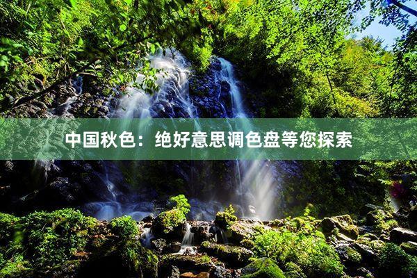 中国秋色：绝好意思调色盘等您探索