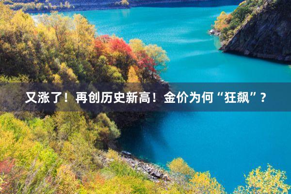 又涨了！再创历史新高！金价为何“狂飙”？