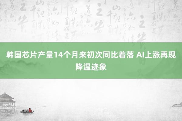 韩国芯片产量14个月来初次同比着落 AI上涨再现降温迹象