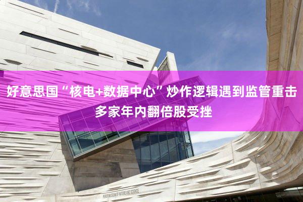 好意思国“核电+数据中心”炒作逻辑遇到监管重击 多家年内翻倍股受挫