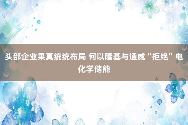 头部企业果真统统布局 何以隆基与通威“拒绝”电化学储能