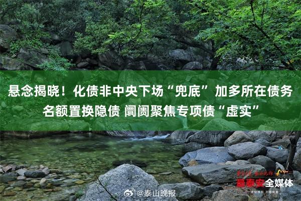 悬念揭晓！化债非中央下场“兜底” 加多所在债务名额置换隐债 阛阓聚焦专项债“虚实”