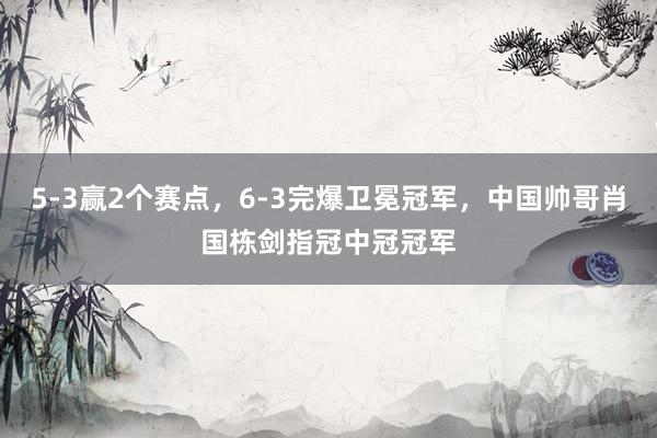5-3赢2个赛点，6-3完爆卫冕冠军，中国帅哥肖国栋剑指冠中冠冠军