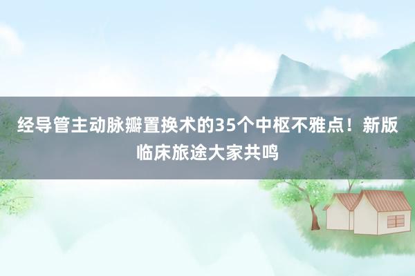 经导管主动脉瓣置换术的35个中枢不雅点！新版临床旅途大家共鸣