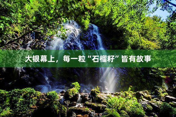 大银幕上，每一粒“石榴籽”皆有故事
