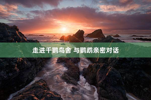 走进千鹦鸟舍 与鹦鹉亲密对话