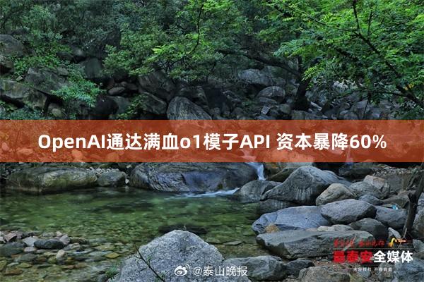OpenAI通达满血o1模子API 资本暴降60%